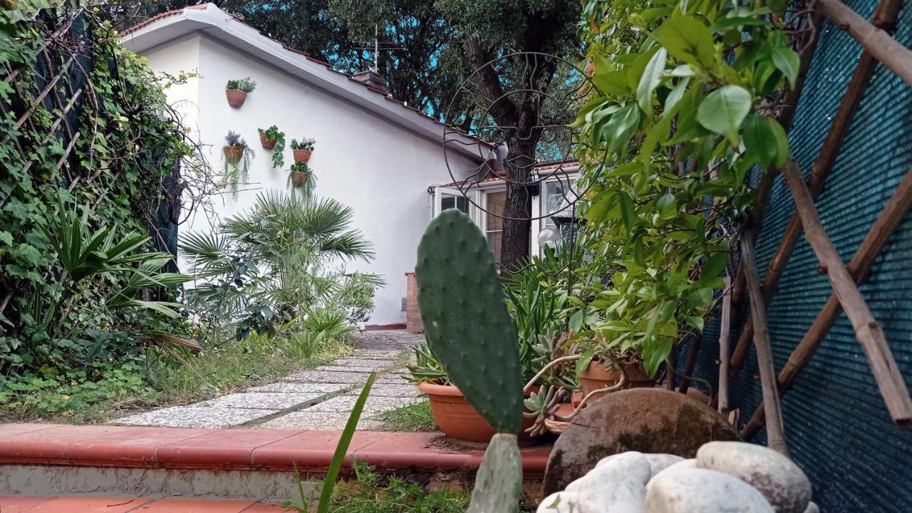 Villetta La Gabbianella 리보르노 외부 사진