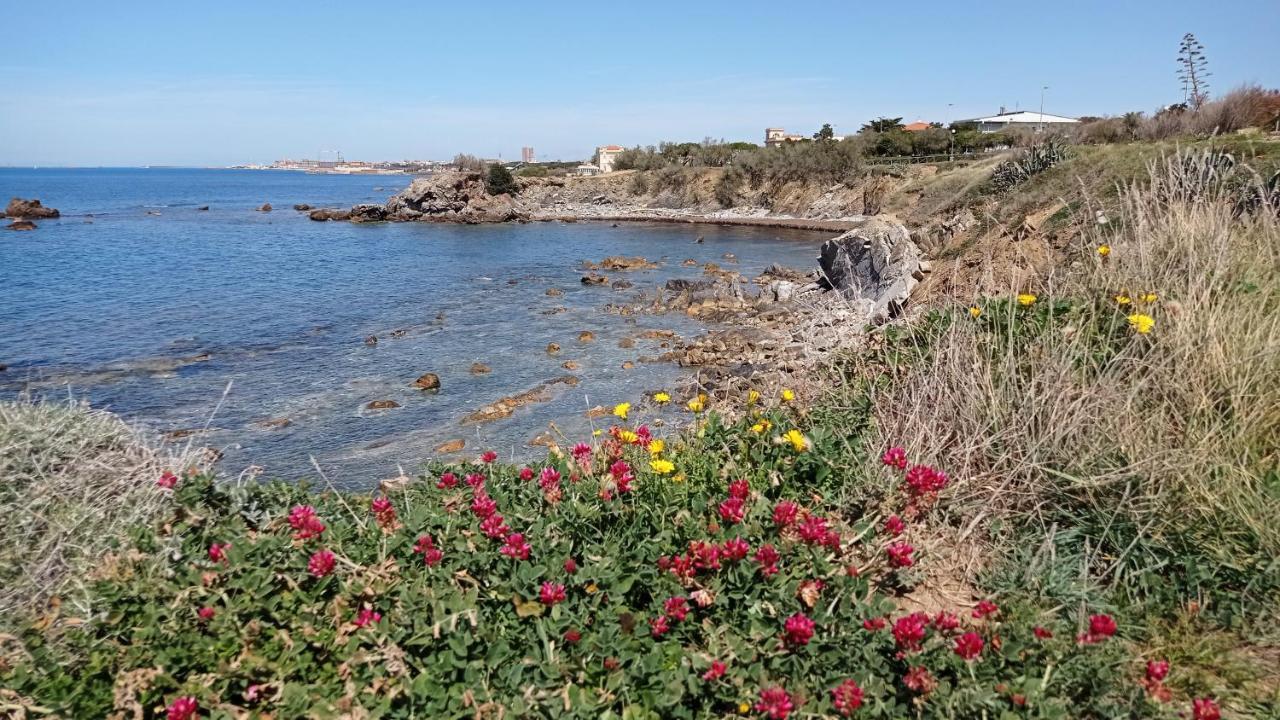 Villetta La Gabbianella 리보르노 외부 사진